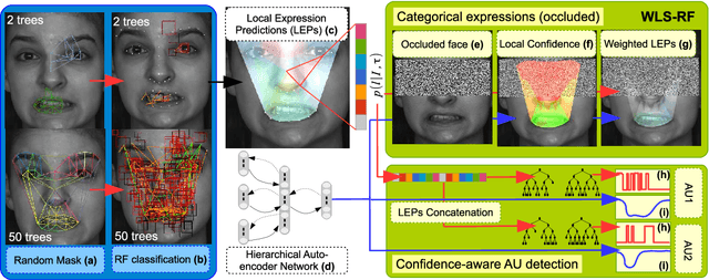 Figure 1 for Confidence-Weighted Local Expression Predictions for Occlusion Handling in Expression Recognition and Action Unit detection