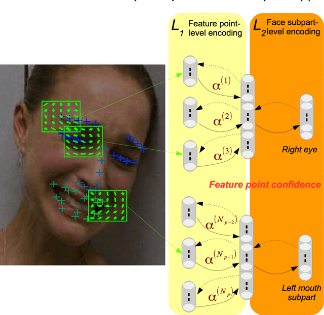 Figure 2 for Confidence-Weighted Local Expression Predictions for Occlusion Handling in Expression Recognition and Action Unit detection