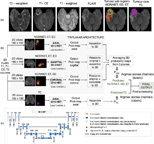 Figure 1 for Brain tumour segmentation using a triplanar ensemble of U-Nets