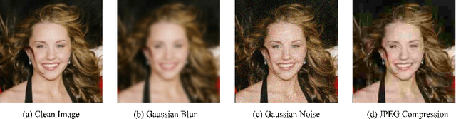 Figure 1 for Median Pixel Difference Convolutional Network for Robust Face Recognition