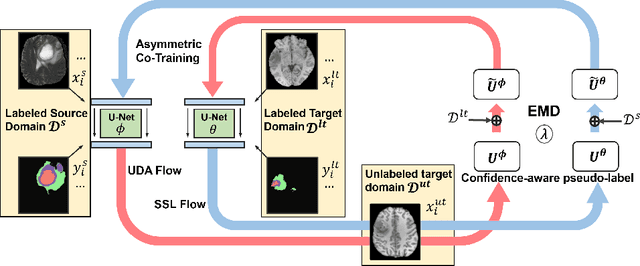Figure 1 for ACT: Semi-supervised Domain-adaptive Medical Image Segmentation with Asymmetric Co-training