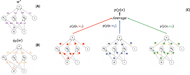 Figure 2 for Knowing what you know in brain segmentation using deep neural networks