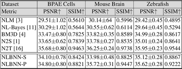 Figure 2 for Patch-based Non-Local Bayesian Networks for Blind Confocal Microscopy Denoising