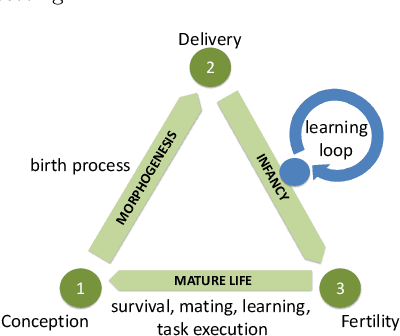 Figure 1 for Learning Locomotion Skills in Evolvable Robots