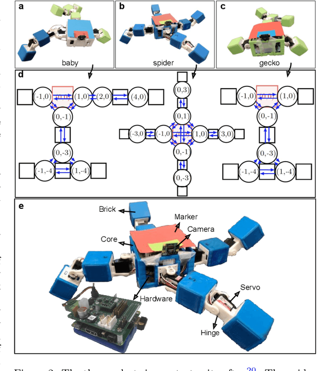 Figure 3 for Learning Locomotion Skills in Evolvable Robots