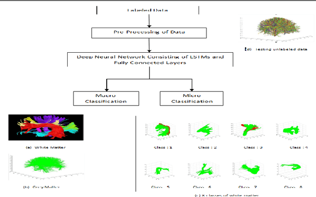 Figure 3 for BrainSegNet : A Segmentation Network for Human Brain Fiber Tractography Data into Anatomically Meaningful Clusters