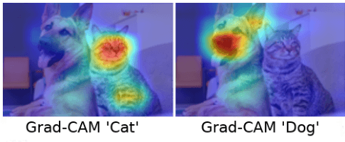 Figure 3 for Grad-CAM++ is Equivalent to Grad-CAM With Positive Gradients