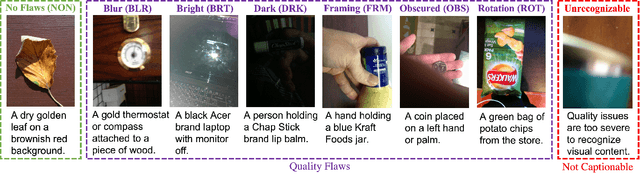 Figure 1 for Assessing Image Quality Issues for Real-World Problems