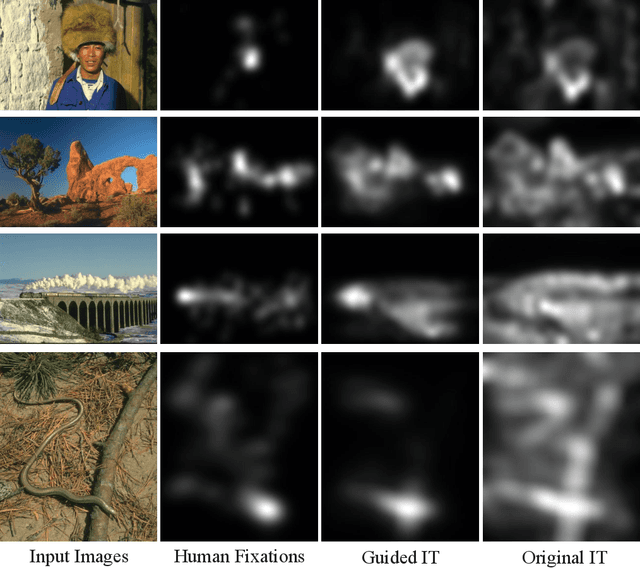Figure 2 for Line Drawings of Natural Scenes Guide Visual Attention