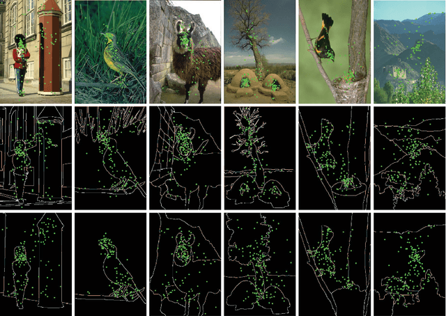 Figure 4 for Line Drawings of Natural Scenes Guide Visual Attention