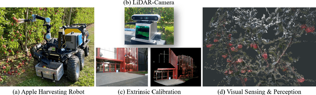 Figure 1 for Accurate Fruit Localisation for Robotic Harvesting using High Resolution LiDAR-Camera Fusion