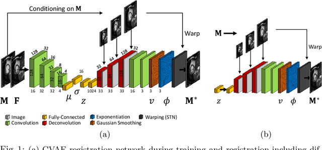 Figure 1 for Unsupervised Probabilistic Deformation Modeling for Robust Diffeomorphic Registration