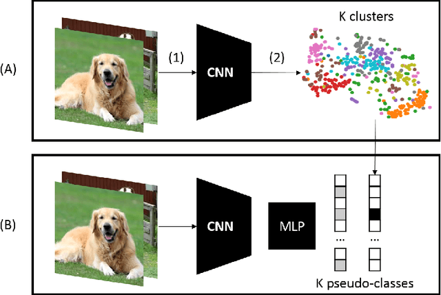 Figure 1 for A Deep Dive into Deep Cluster