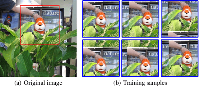 Figure 1 for Region-filtering Correlation Tracking