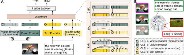 Figure 1 for Vision-Language Pre-Training with Triple Contrastive Learning