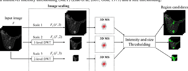 Figure 3 for Automatic lesion detection, segmentation and characterization via 3D multiscale morphological sifting in breast MRI