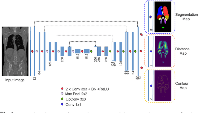 Figure 2 for Shape-Aware Complementary-Task Learning for Multi-Organ Segmentation