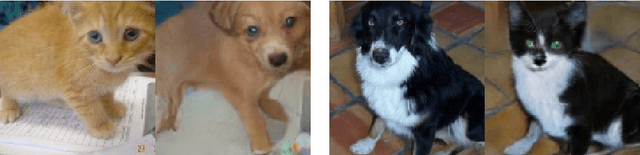 Figure 1 for Improving Shape Deformation in Unsupervised Image-to-Image Translation