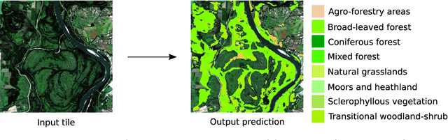 Figure 3 for Semantic Segmentation of Vegetation in Remote Sensing Imagery Using Deep Learning