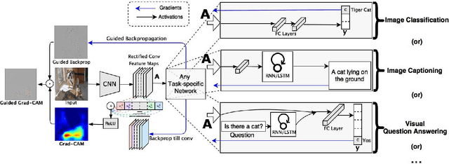 Figure 3 for Grad-CAM: Visual Explanations from Deep Networks via Gradient-based Localization