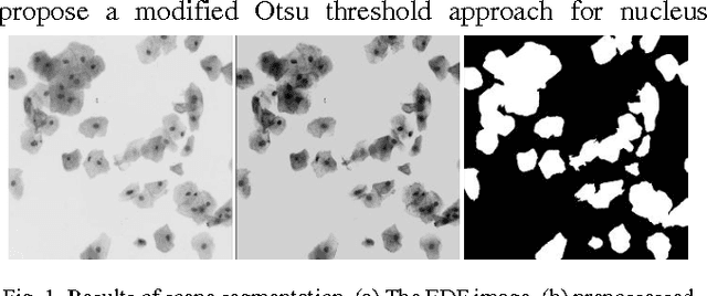Figure 1 for Unsupervised Segmentation of Overlapping Cervical Cell Cytoplasm