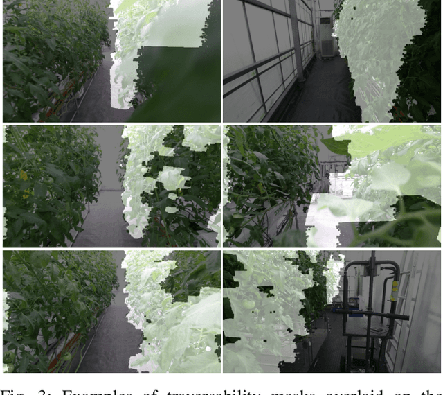 Figure 3 for Semantic-aware plant traversability estimation in plant-rich environments for agricultural mobile robots