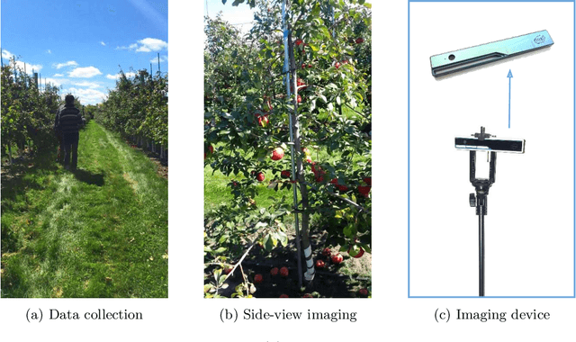 Figure 1 for Semantic Mapping for Orchard Environments by Merging Two-Sides Reconstructions of Tree Rows