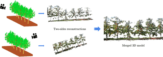 Figure 3 for Semantic Mapping for Orchard Environments by Merging Two-Sides Reconstructions of Tree Rows