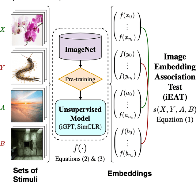 Figure 3 for Image Representations Learned With Unsupervised Pre-Training Contain Human-like Biases