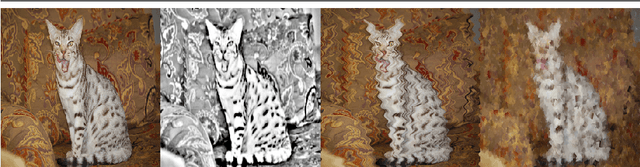 Figure 3 for Deep Representation Learning for Domain Adaptation of Semantic Image Segmentation