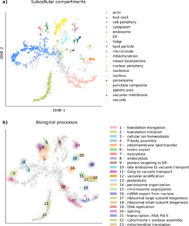 Figure 2 for Learning multi-scale functional representations of proteins from single-cell microscopy data
