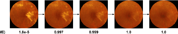 Figure 1 for Scientific Discovery by Generating Counterfactuals using Image Translation