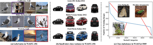 Figure 1 for Webly Supervised Fine-Grained Recognition: Benchmark Datasets and An Approach