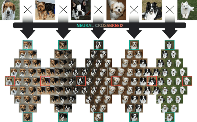 Figure 1 for Neural Crossbreed: Neural Based Image Metamorphosis