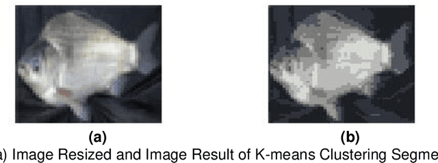 Figure 4 for Fish Detection Using Morphological Approach Based-on K-Means Segmentation