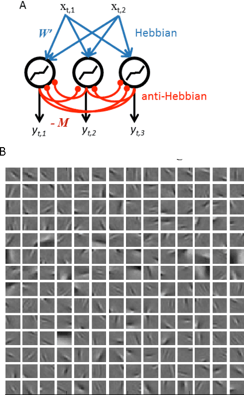 Figure 2 for A Hebbian/Anti-Hebbian Network for Online Sparse Dictionary Learning Derived from Symmetric Matrix Factorization