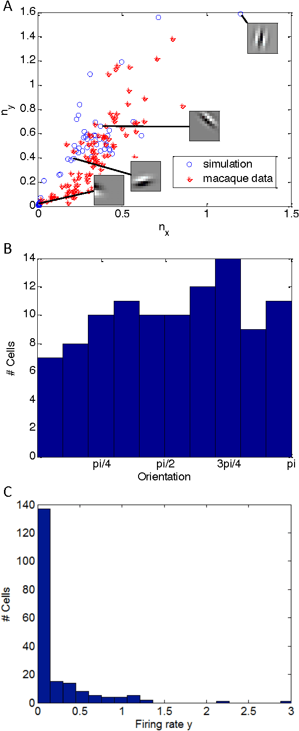 Figure 3 for A Hebbian/Anti-Hebbian Network for Online Sparse Dictionary Learning Derived from Symmetric Matrix Factorization