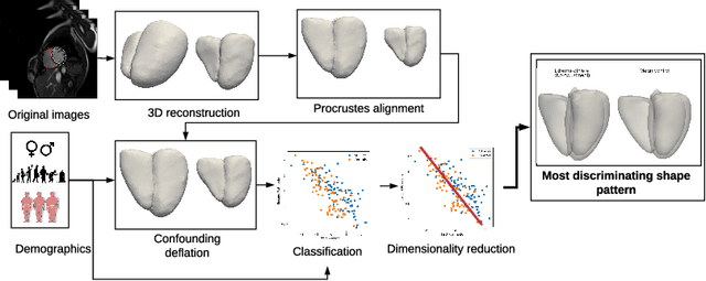 Figure 1 for Handling confounding variables in statistical shape analysis -- application to cardiac remodelling