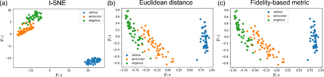 Figure 3 for Parametric t-Stochastic Neighbor Embedding With Quantum Neural Network