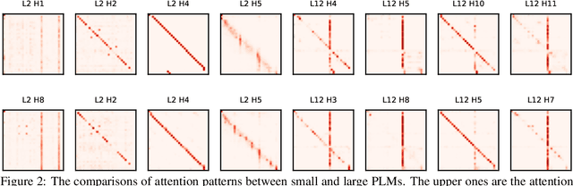 Figure 3 for bert2BERT: Towards Reusable Pretrained Language Models