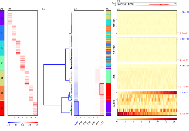 Figure 2 for Low-Rank Reorganization via Proportional Hazards Non-negative Matrix Factorization Unveils Survival Associated Gene Clusters