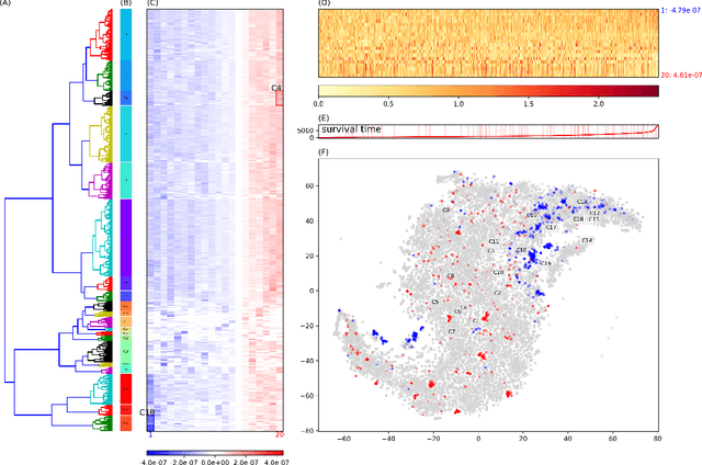Figure 4 for Low-Rank Reorganization via Proportional Hazards Non-negative Matrix Factorization Unveils Survival Associated Gene Clusters