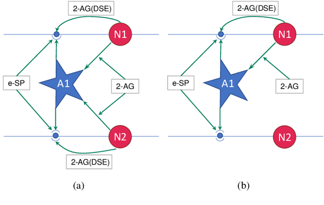 Figure 1 for On the Self-Repair Role of Astrocytes in STDP Enabled Unsupervised SNNs