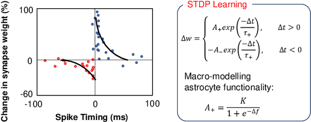 Figure 2 for On the Self-Repair Role of Astrocytes in STDP Enabled Unsupervised SNNs