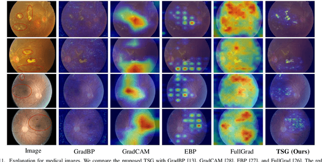 Figure 3 for TSG: Target-Selective Gradient Backprop for Probing CNN Visual Saliency