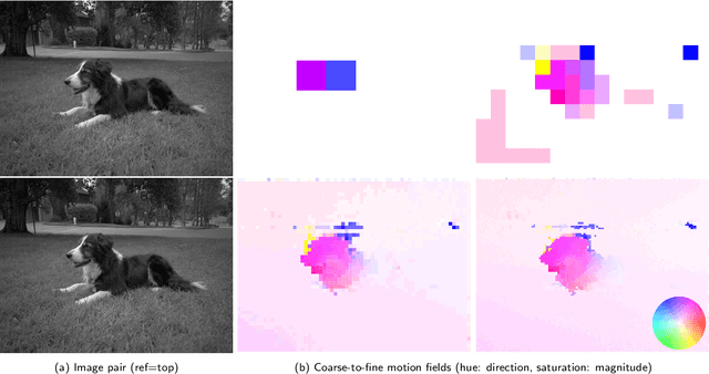 Figure 3 for An Analysis and Implementation of the HDR+ Burst Denoising Method