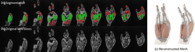 Figure 3 for NIMBLE: A Non-rigid Hand Model with Bones and Muscles
