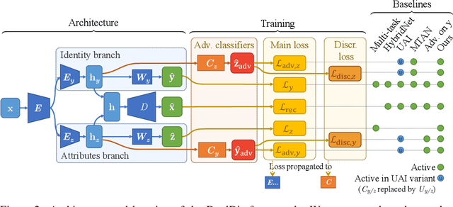 Figure 3 for DualDis: Dual-Branch Disentangling with Adversarial Learning