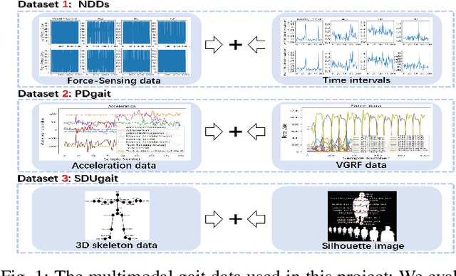 Figure 1 for Multimodal Gait Recognition for Neurodegenerative Diseases