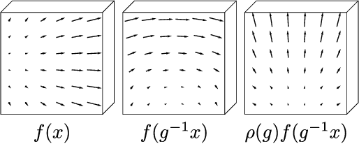 Figure 1 for 3D Steerable CNNs: Learning Rotationally Equivariant Features in Volumetric Data